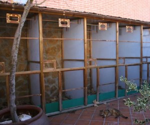 Aviario